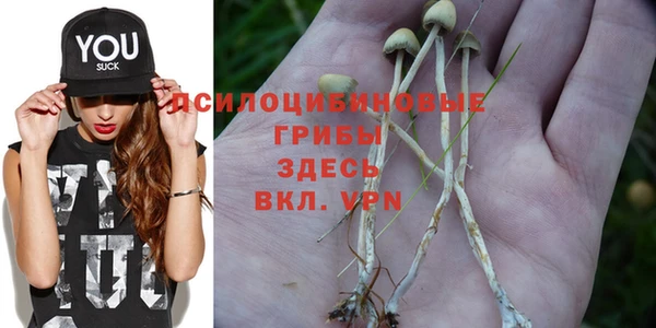 героин Абаза