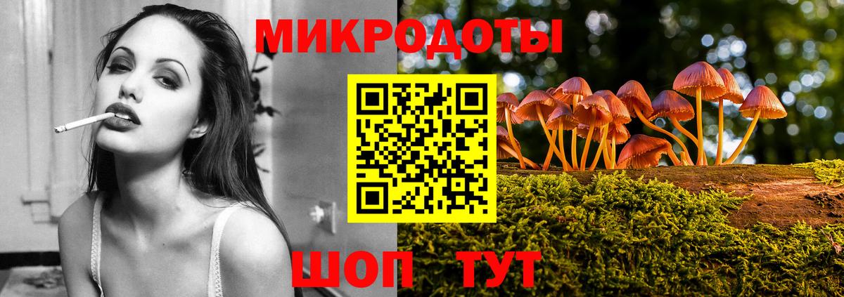 Галлюциногенные грибы Cubensis Нефтекумск