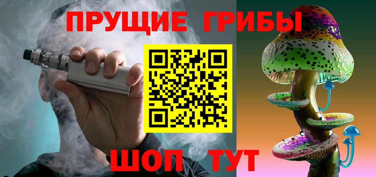 Нефтекумск  Псилоцибиновые грибы мухоморы  Вход с VPN  Псилоцибиновые грибы Psilocybe 