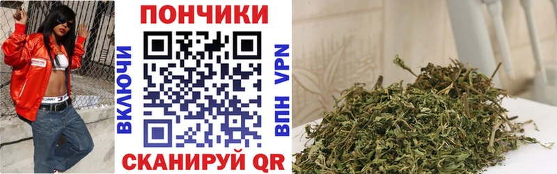 Марихуана MAZAR  как найти закладки  Нефтекумск 